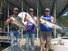 (08/31/2015) - Nice Striped Bass